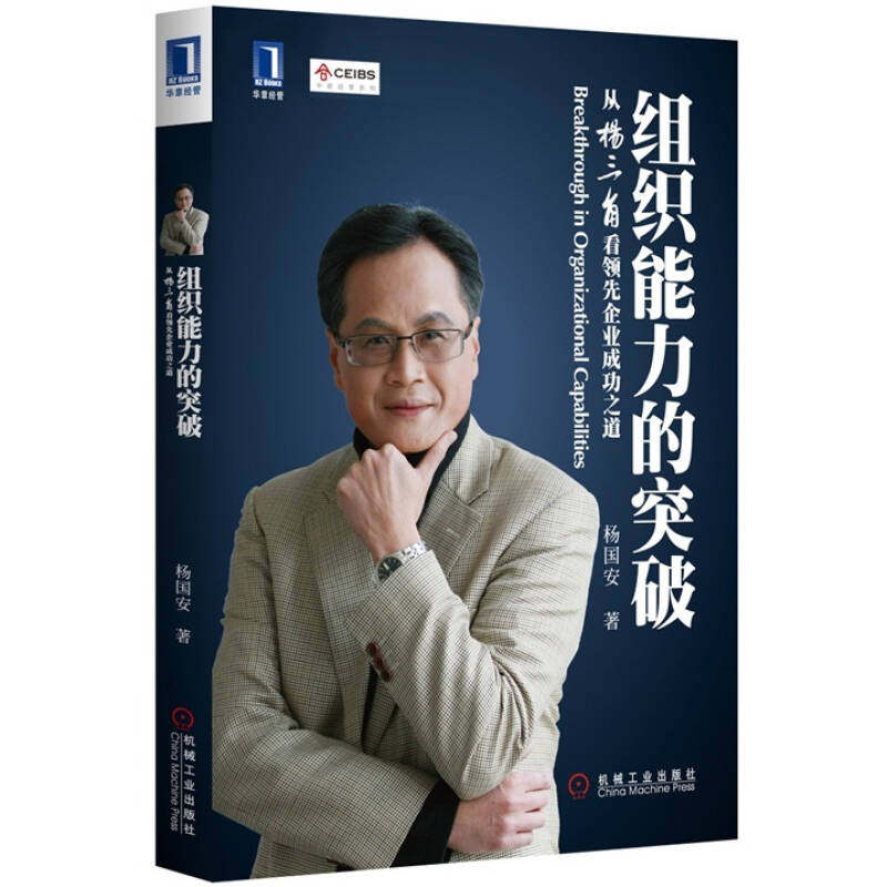 正版包邮组织能力的突破从杨三角看领先企业成功之道杨国安机械工业