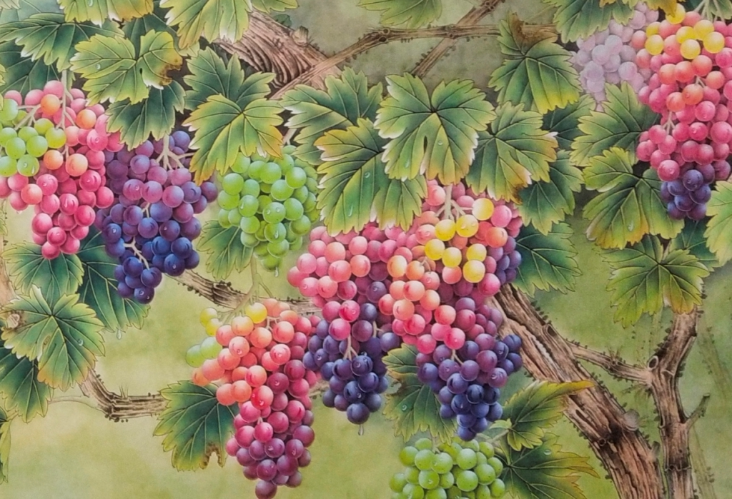 工笔画底稿 工笔4尺花鸟横幅小鸟葡萄白描94#打印稿学习临摹