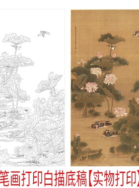 工笔画白描 清 沈铨 荷塘鸳鸯图 高清白描95#打印稿学习临摹