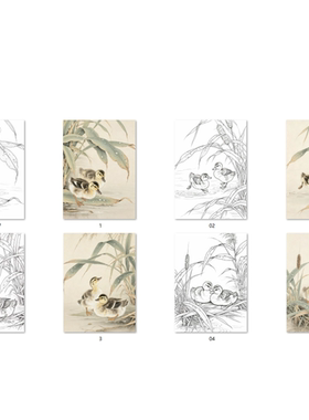 工笔画底稿工笔花鸟乳鸭图参考白描65#打印稿4张组合