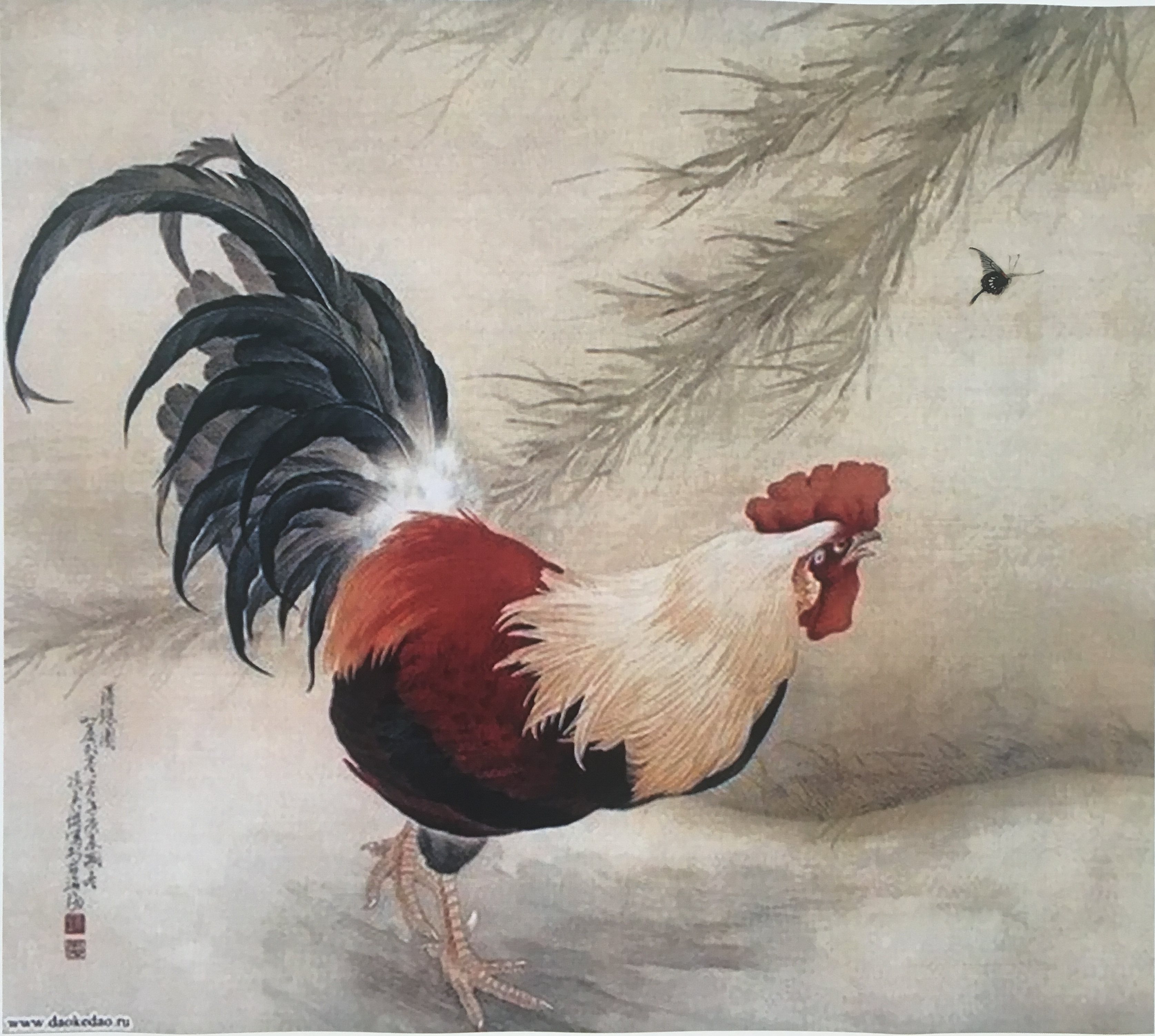 工笔画底稿 公鸡斗方 白描78#打印稿毛笔勾线宣纸稿