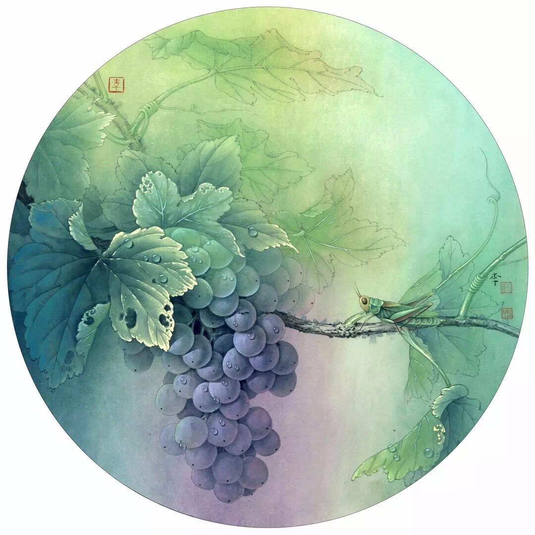 工笔画底稿 葡萄蝈蝈团扇 白描3#打印稿毛笔勾线 宣纸稿