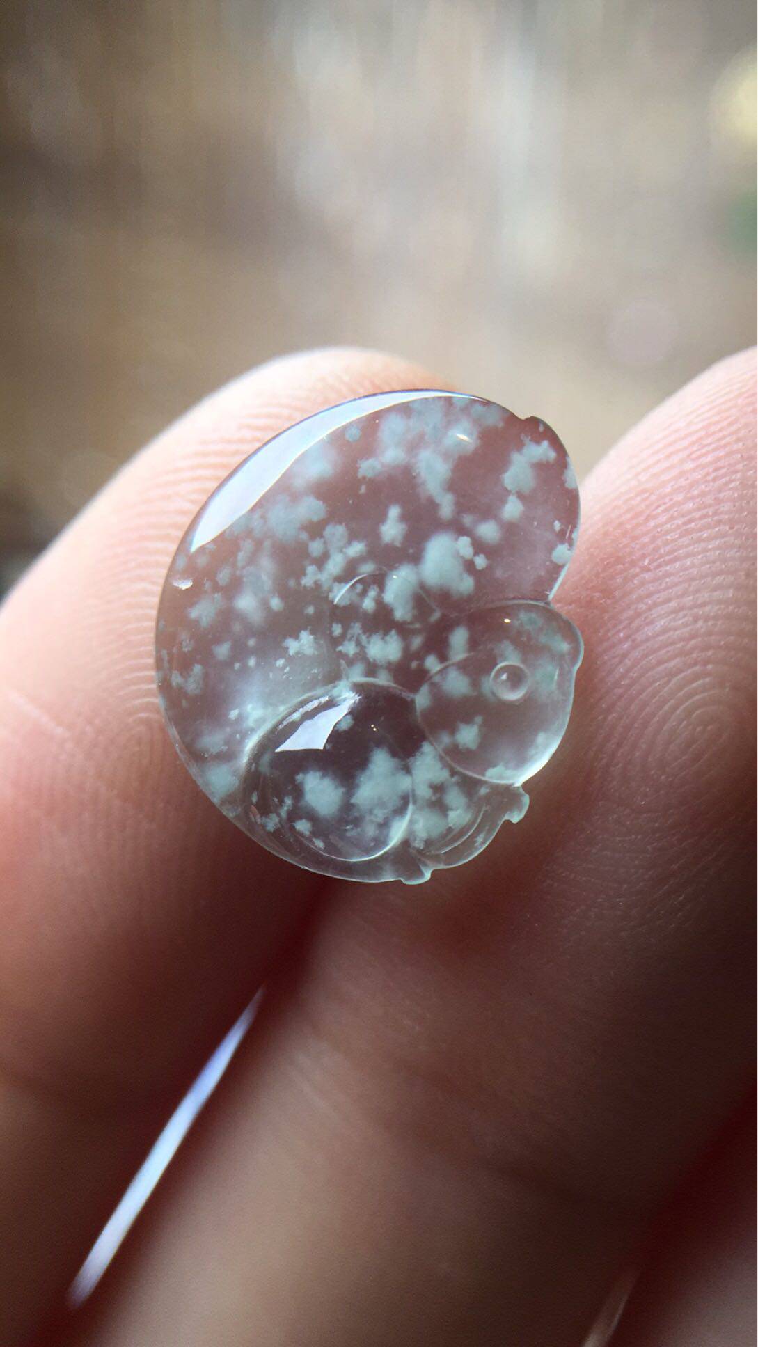 木那种雪花棉翡翠松鼠