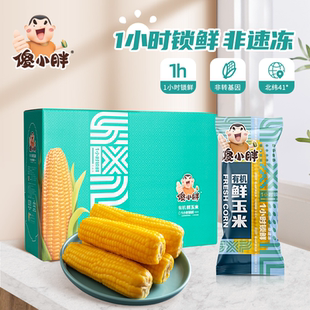 25年新玉米傻小胖玉米有机普通黄糯礼盒10根真空包装营养早餐非速
