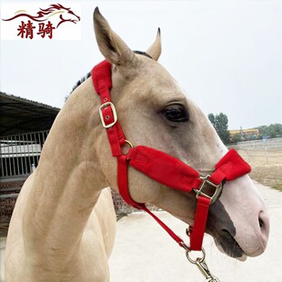 马笼头新品彩色牵马调教笼头大小矮马龙头嚼子精骑马术用品促销