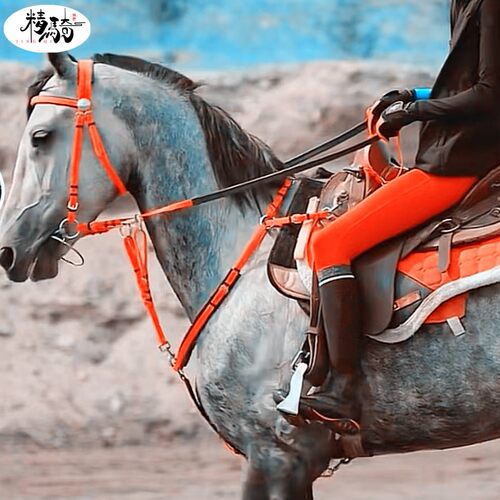 马匹装备尼龙线板胸带二合一精骑
