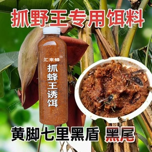 胡蜂抓王饵料黄脚蜂王金环蜂王红娘蜂王黑盾蜂王七里蜂王抓捕诱饵