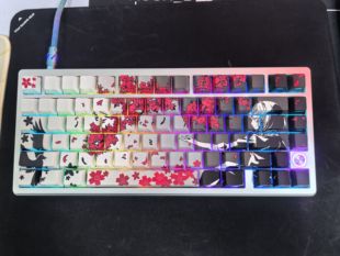 江湾SU75磁轴键盘/青春版/超低延迟金属全键TTC万磁王电竞键盘