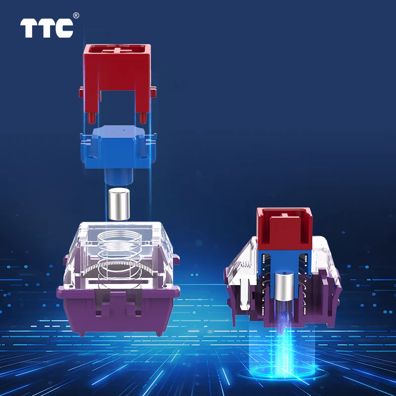 TTC MAGNETO AXIS의 장붓구멍과 장부 구조는 안정적이고 내구성이 뛰어나며 부드러운 탄성 디자인과 긴 스프링은 다른 느낌과 소리를 가지고 있습니다