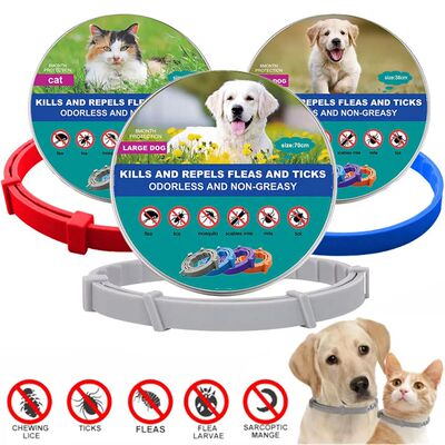 New Pet Dog Cat Collars Veterinary Anti Flea and Tick Collar