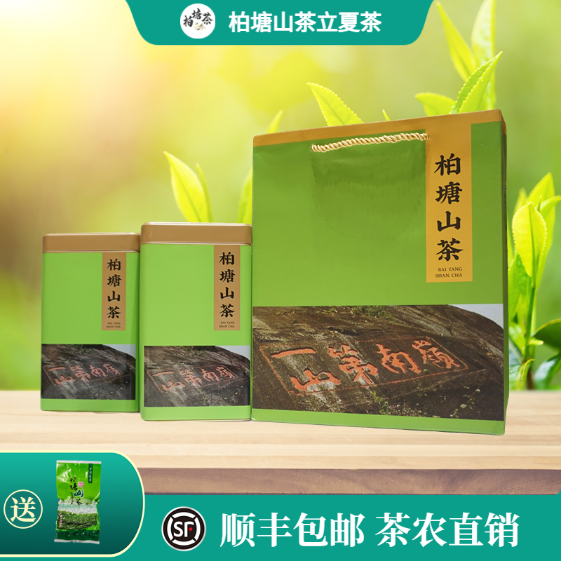 柏塘山茶立夏茶广东十大名茶惠州博罗特级炒青绿茶正宗罗浮山茶叶