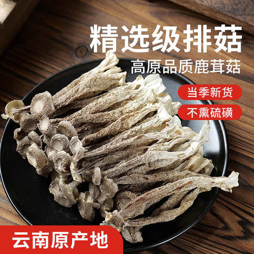 鹿茸菇干货500g精选小嫩菇