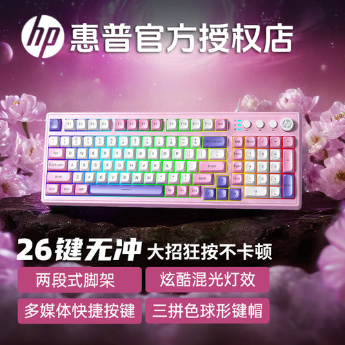 惠普有线键盘鼠标套装98键
