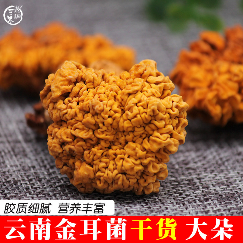 云南金耳菌干货煲汤食材野生菌菇特产120克银耳木耳正宗黄金耳菌