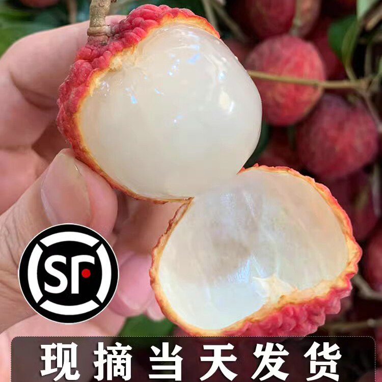 新鲜荔枝现摘现发孕妇水果茂名当季白糖妃罂子笑整箱5斤顺丰包邮