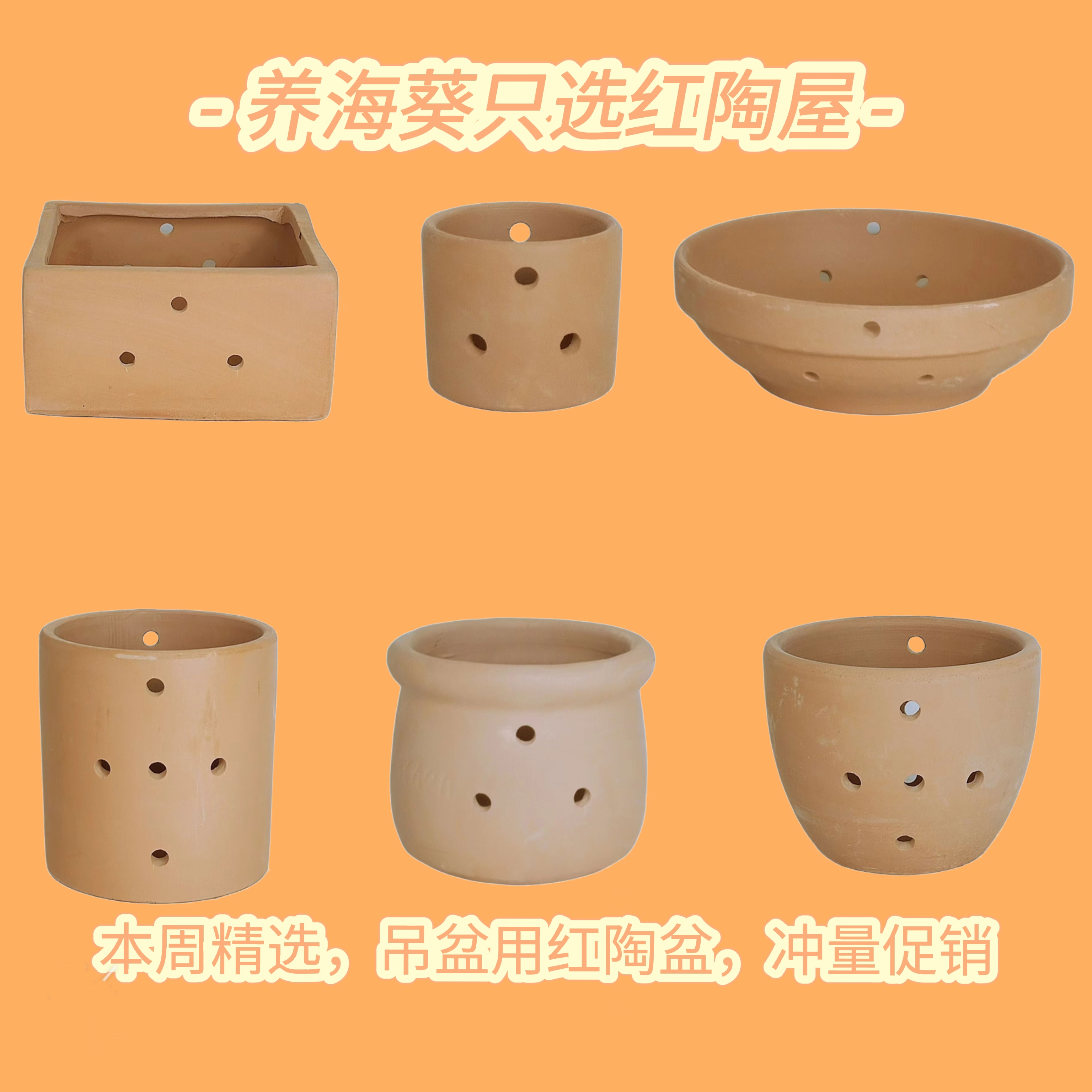 新款红陶挂盆多孔花盆蝴蝶兰花专用透气盆鱼缸造景海葵奶嘴躲避窝