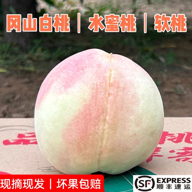 正宗兰州安宁冈山白桃软桃水蜜桃白凤桃新鲜水果顺丰空运冷链包邮