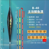 夜皇夜光漂日夜野钓电子漂渔具浮漂咬钩变色鲫鱼漂B404142434445