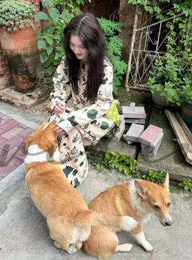 4video自制 素色标本博物馆中性宽松休闲长袖衬衫半身裙两件套装