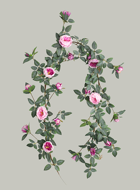 婚礼商场造景花墙装饰1.8米奥斯汀玫瑰藤蔓 空调管道水管缠绕装饰