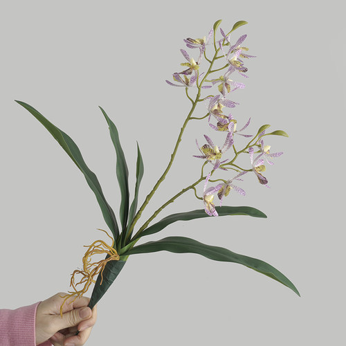 碧洛蒂斯假花客厅2叉带叶兰花