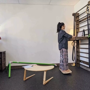 FITUSBOARD [平衡板站立办公滑板滑雪冲浪模拟高尔夫脚踝力量训练器]