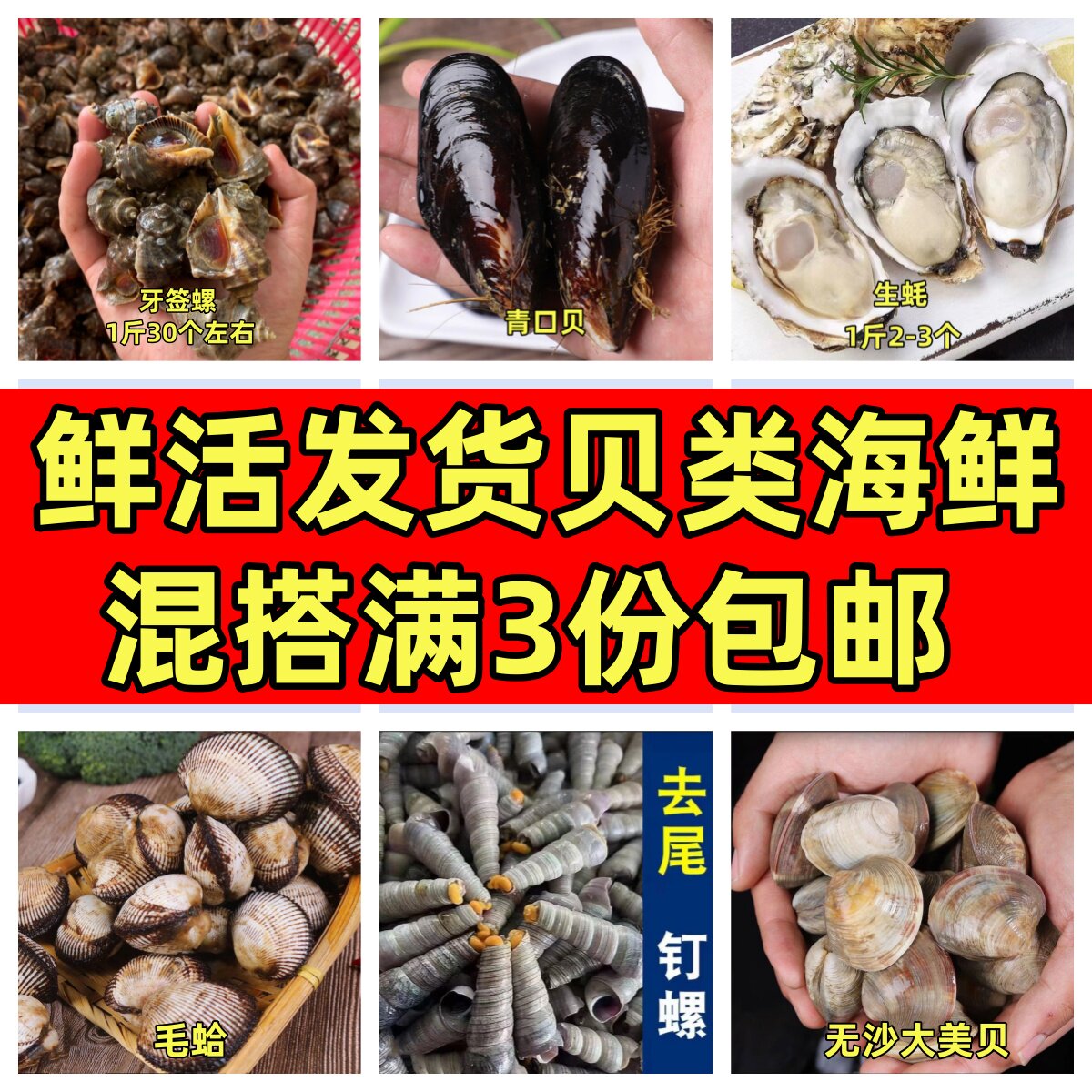 鲜活海鲜贝类组合套餐混搭小海螺美贝钉螺生蚝钉螺捞汁小海鲜活发