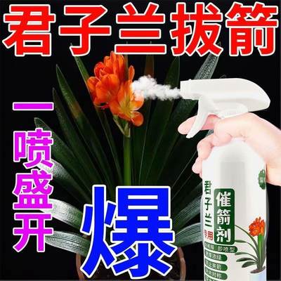 磷酸二氢钾肥料花卉专用君子兰催箭剂营养液花肥专治烂叶促花治黄