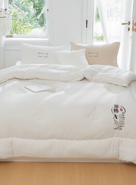 新款A类大豆玉米纤维被子冬被春秋被子被芯宿舍单人棉被加厚保暖