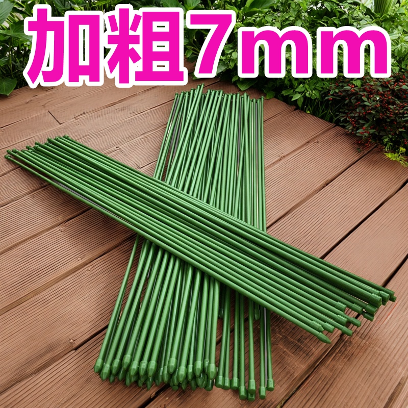 金钱树花支架支撑攀爬扶植空心铁管支柱园艺植物蕙兰西红柿花架子