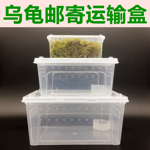乌龟蜘蛛爬虫运输快递打包发货盒