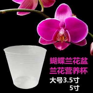蝴蝶兰 兰花营养杯 铁皮石斛专用花盆育苗盆袋加厚白色透明营养钵