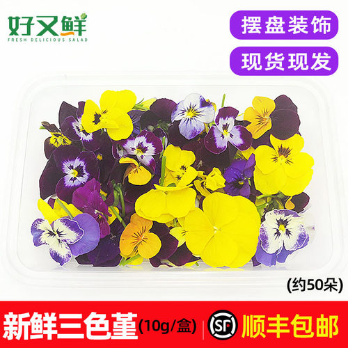 新鲜三色堇蛋糕西餐摆盘装饰花草