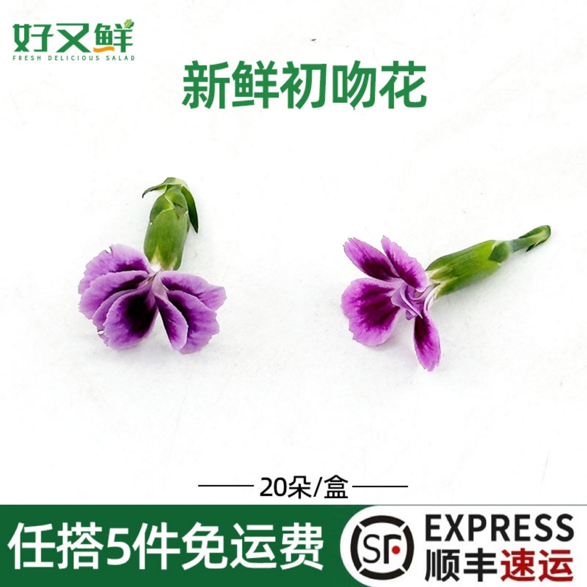 新鲜初吻花西餐摆盘蛋糕烘培花朵
