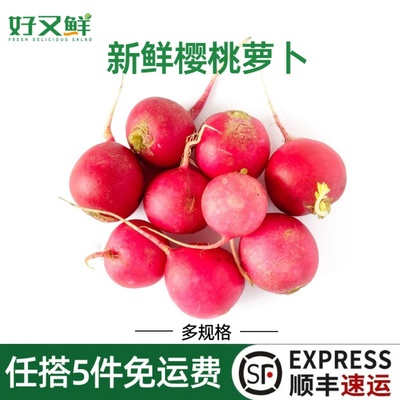 新鲜樱桃萝卜健身沙拉菜西餐食材