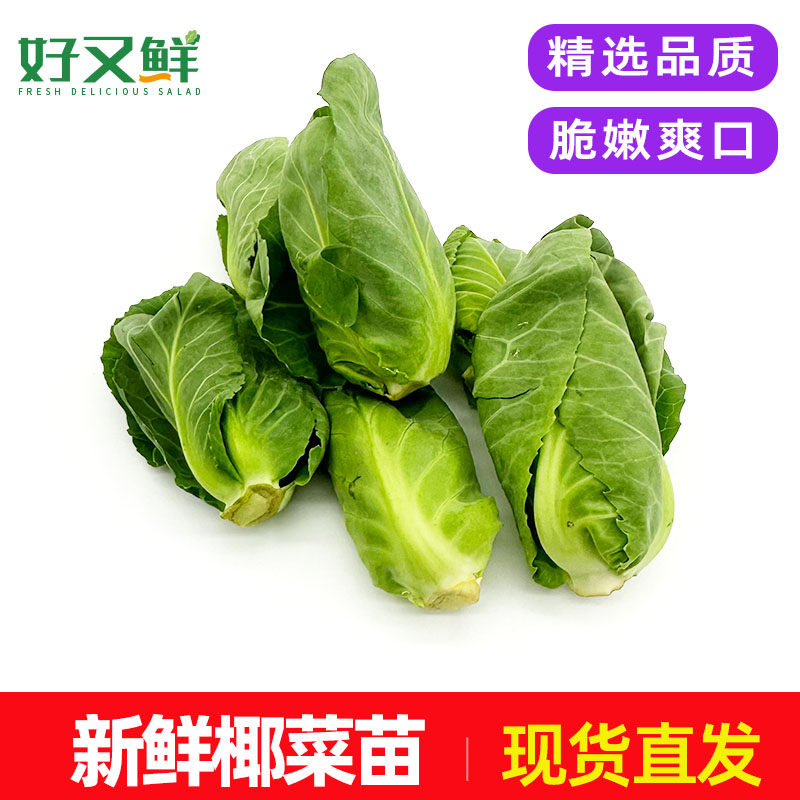 新鲜椰菜苗绿雪莲苗侧芽娃娃包菜椰菜仔酒店餐厅凉拌炒食蔬菜包邮,水产肉类/新鲜蔬果/熟食,其它,淘宝优惠券,粉丝福利购,淘宝优惠卷