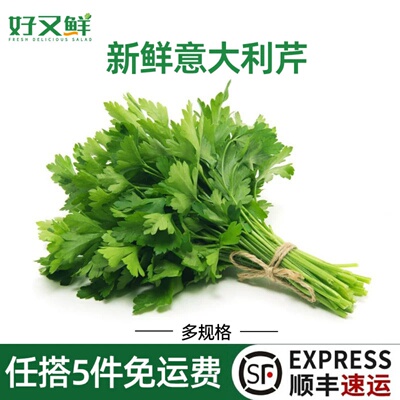 摆盘调味增香蔬菜欧芹鲜意大利芹