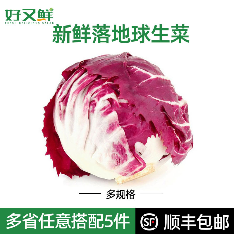 新鲜落地球红菊苣红杂生菜红叶包菜西餐配菜食材轻食健身餐沙拉菜