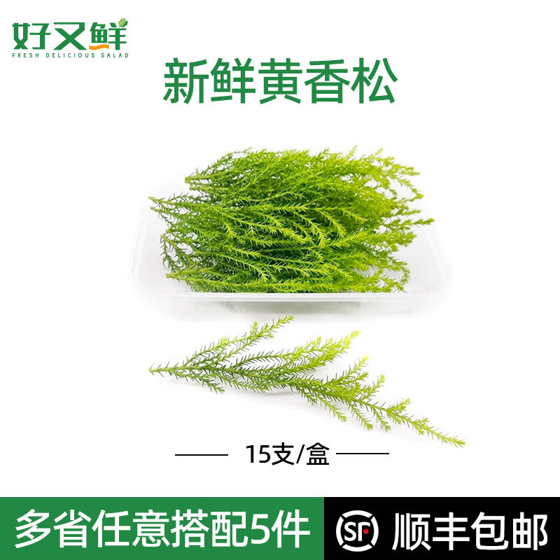 新鲜香松摆盘装饰蛋糕点缀花草叶