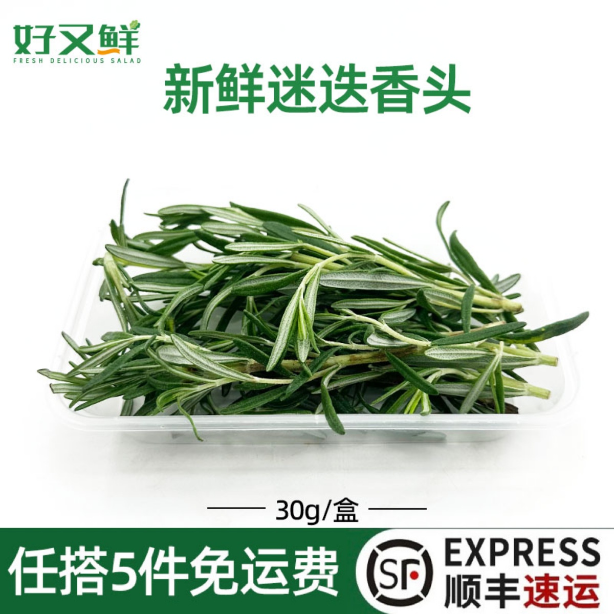 新鲜迷迭香头蛋糕装饰点缀香料菜