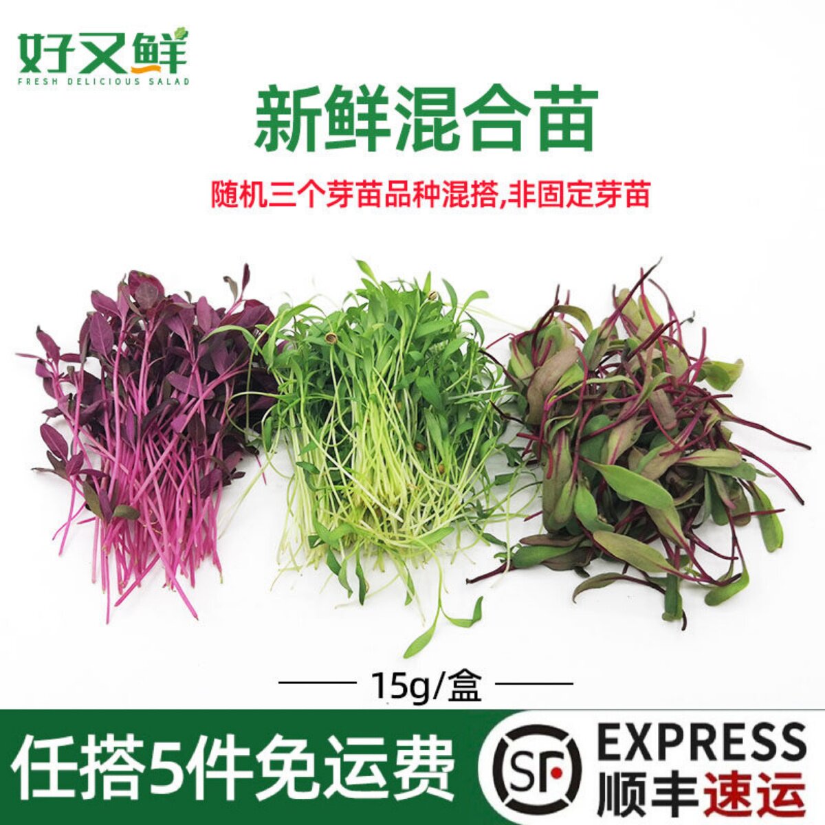 新鲜混合芽苗火红甜菜香菜芹菜萝卜芥末苗随机搭配三种摆盘装饰苗