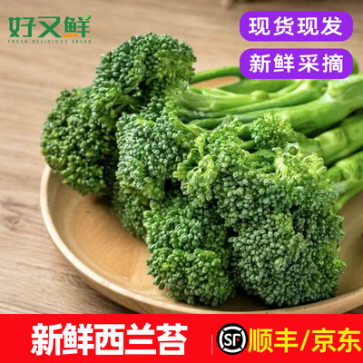新鲜西兰苔手指小西兰花轻食青花菜西餐特色食材沙拉炒食蔬菜包邮