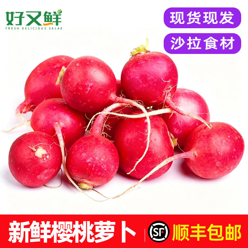 新鲜樱桃萝卜仔沙拉西餐食材包邮