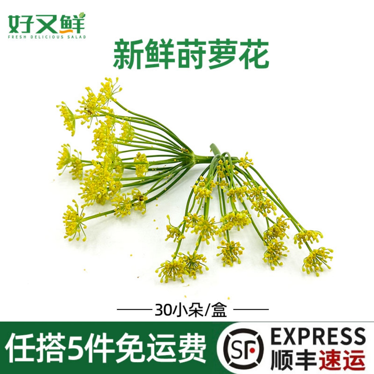 新鲜小莳萝花西餐蛋糕摆盘装饰