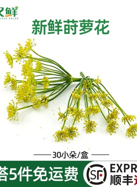 新鲜小莳萝花小茴香花西餐摆盘日料蛋糕烘培装饰点缀微型鲜花dill