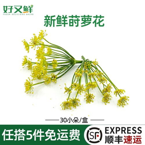 新鲜小莳萝花西餐蛋糕摆盘装饰