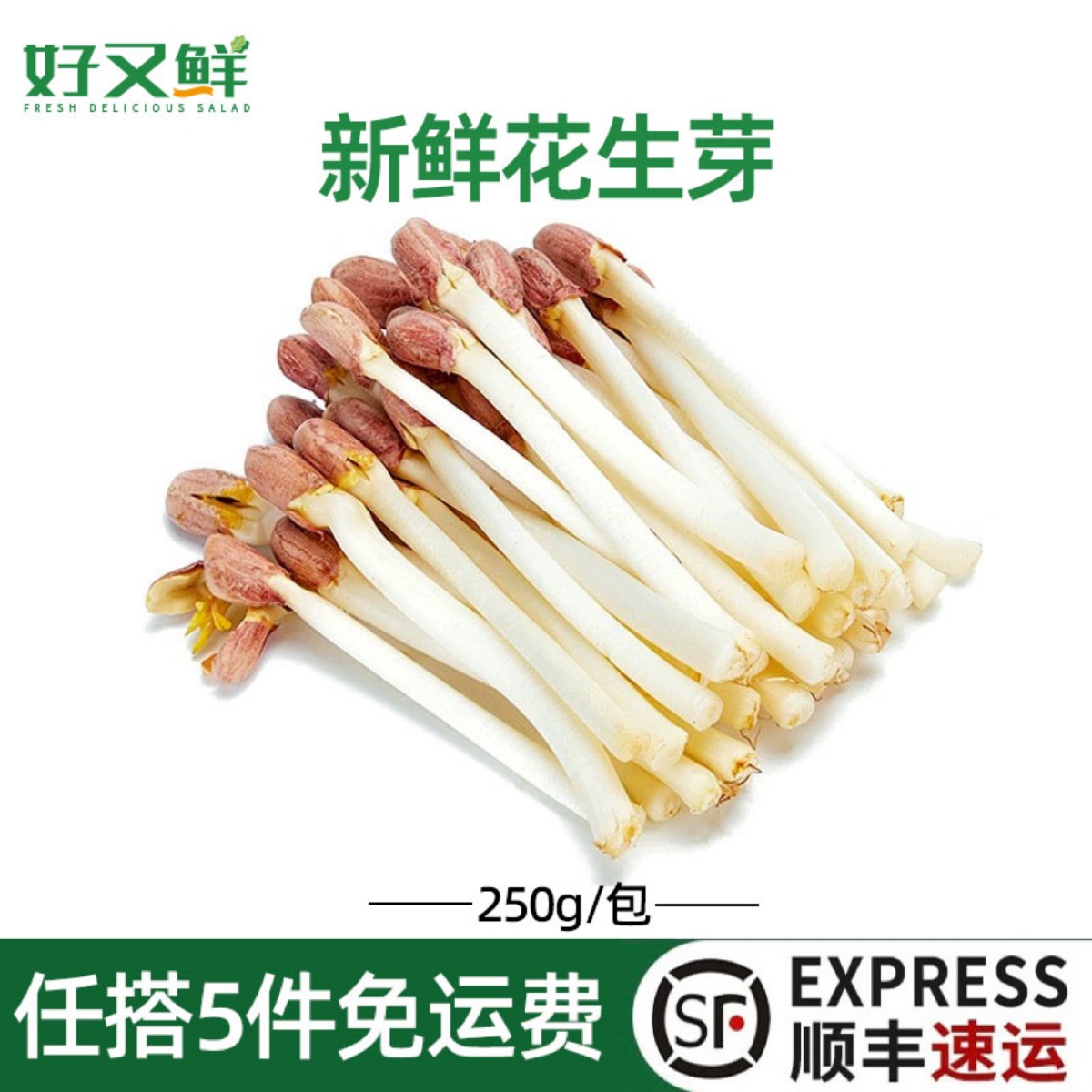 新鲜花生芽餐厅沙拉凉拌火锅蔬菜