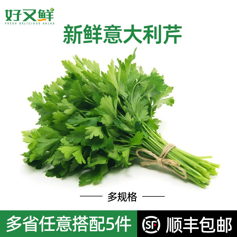 欧芹新鲜意大利香芹香料菜平叶意方西餐摆盘榨汁食用调味增香蔬菜