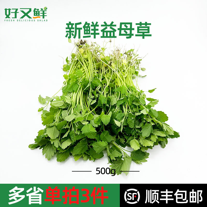 新鲜益母草现摘现发新鲜煮汤蔬菜
