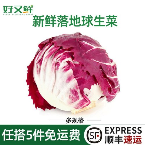 新鲜落地球红菊苣生菜轻食沙拉菜
